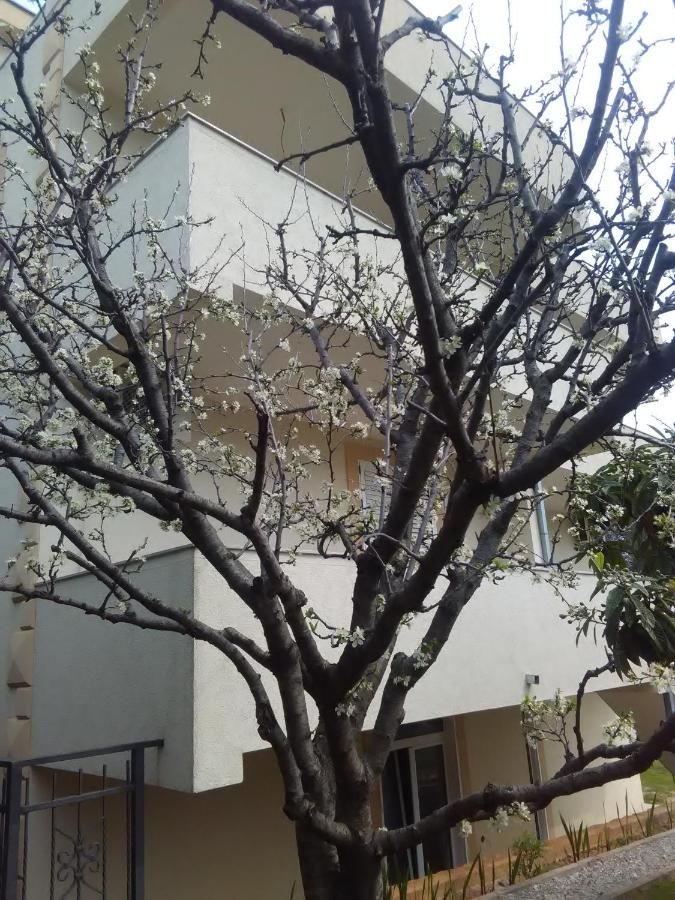 Апартаменты Apartments Savić Херцег-Нови